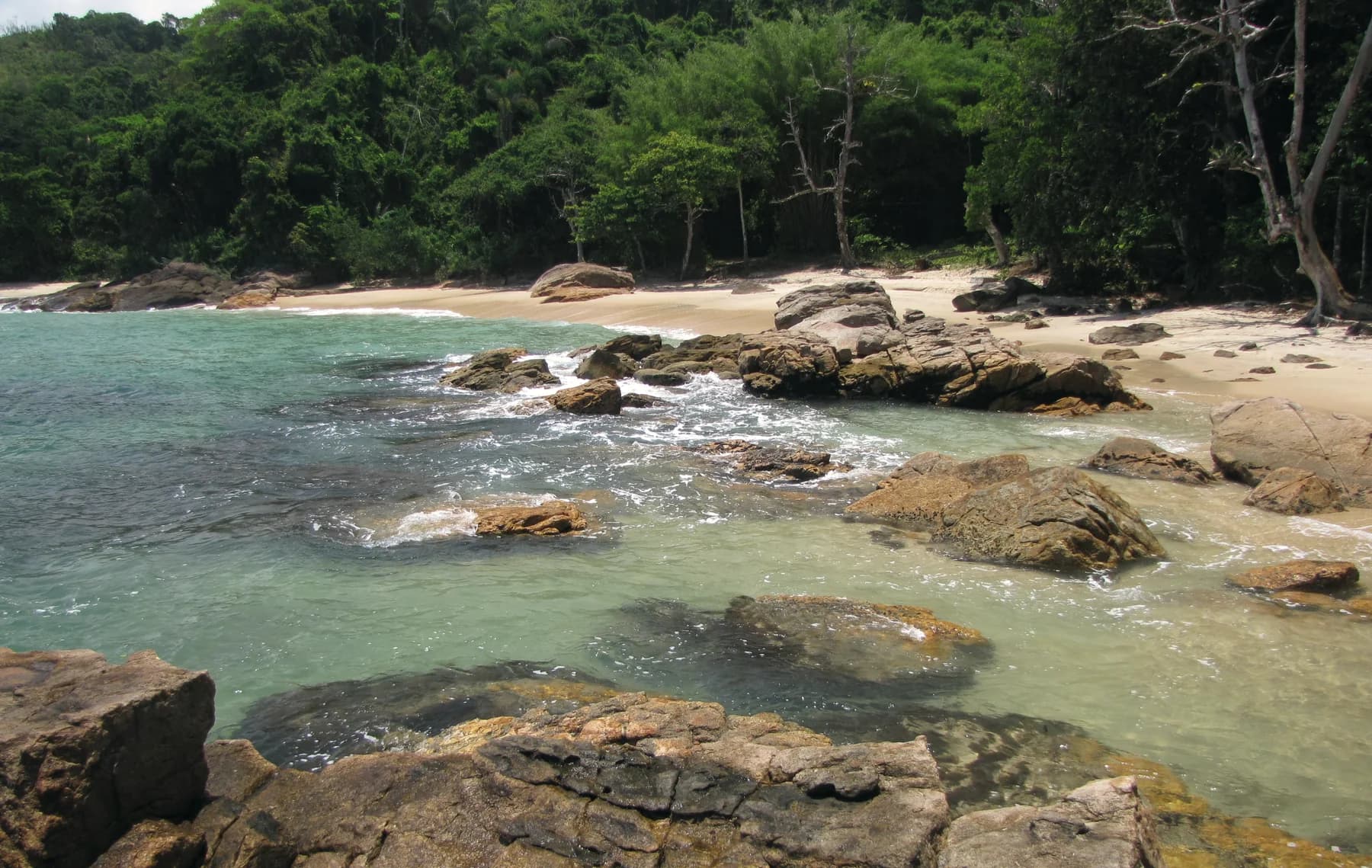Água verde transparente e Mata Atlântica na Praia do Cedro da Fortaleza, sul de Ubatuba